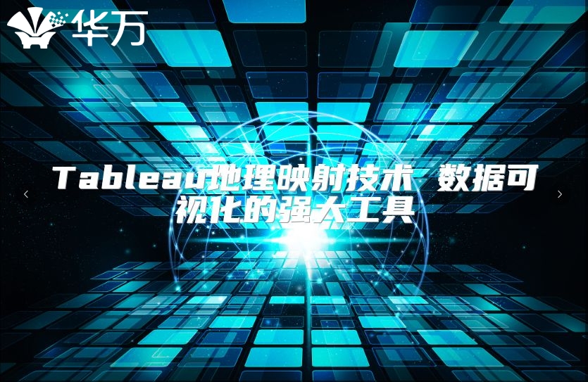Tableau地理映射技术 数据可视化的强大工具